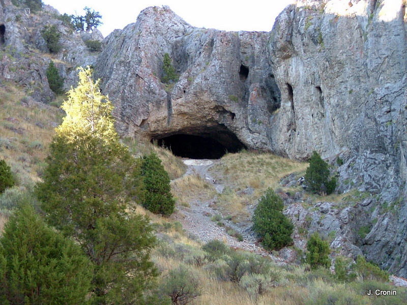 40 Horse Cave