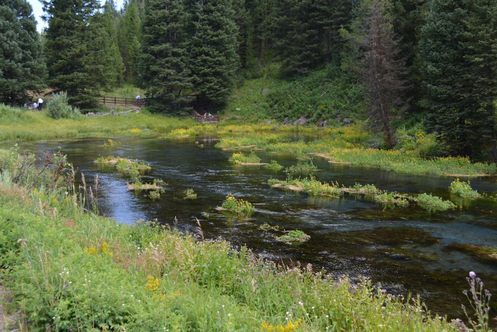 Big Springs and Johnny Sack Cabin