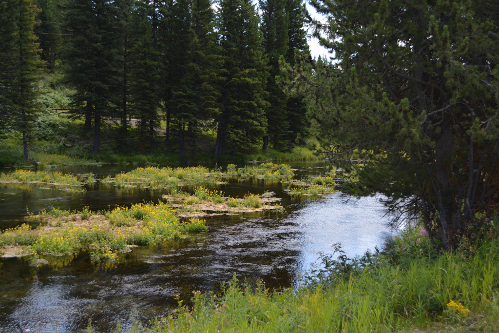 Big Springs and Johnny Sack Cabin