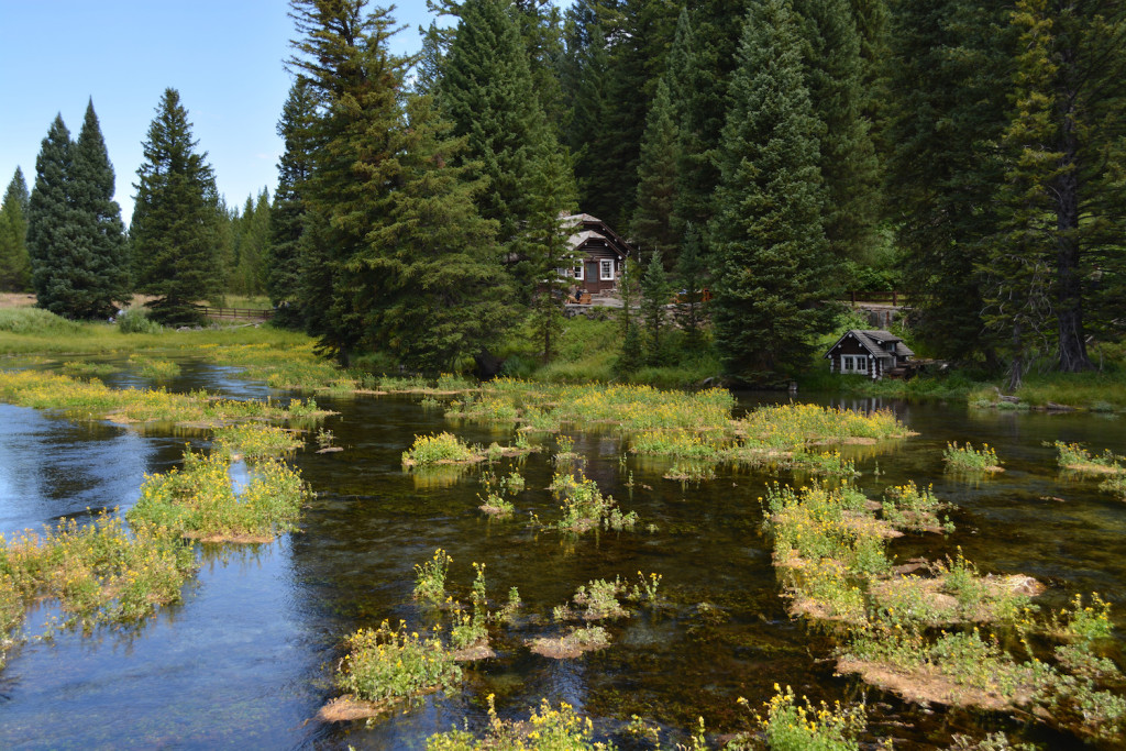 Big Springs and Johnny Sack Cabin