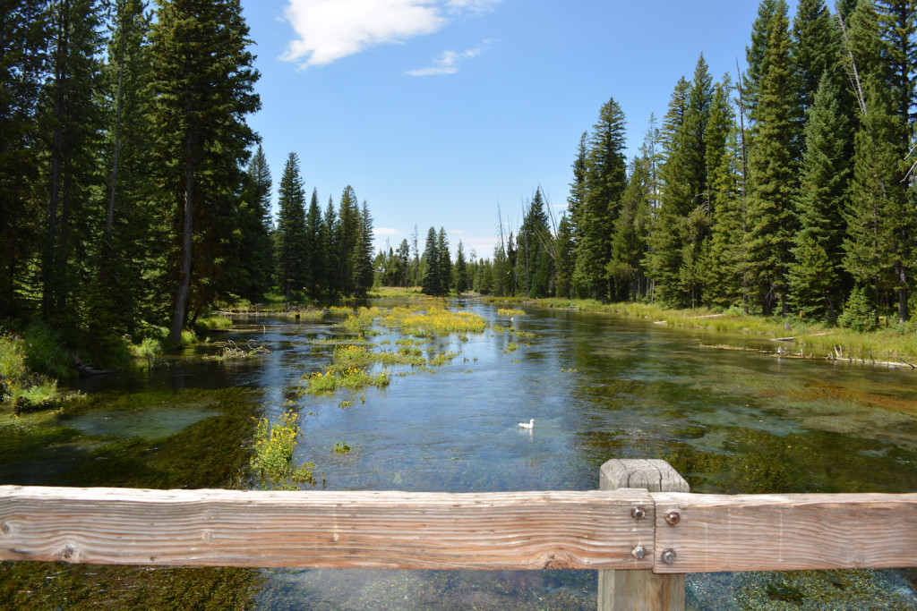 Big Springs and Johnny Sack Cabin