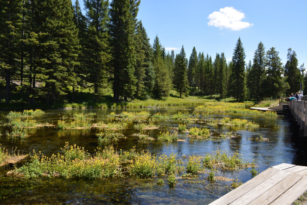 Big Springs and Johnny Sack Cabin