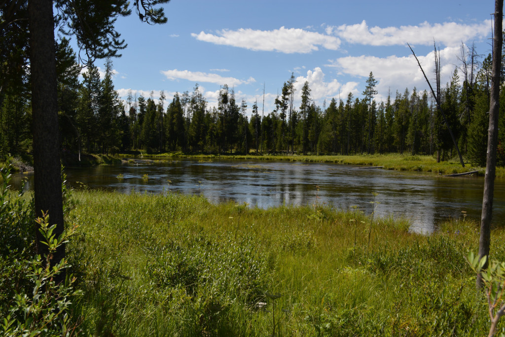 Big Springs and Johnny Sack Cabin