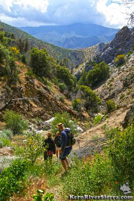 Packsaddle Creek Trail