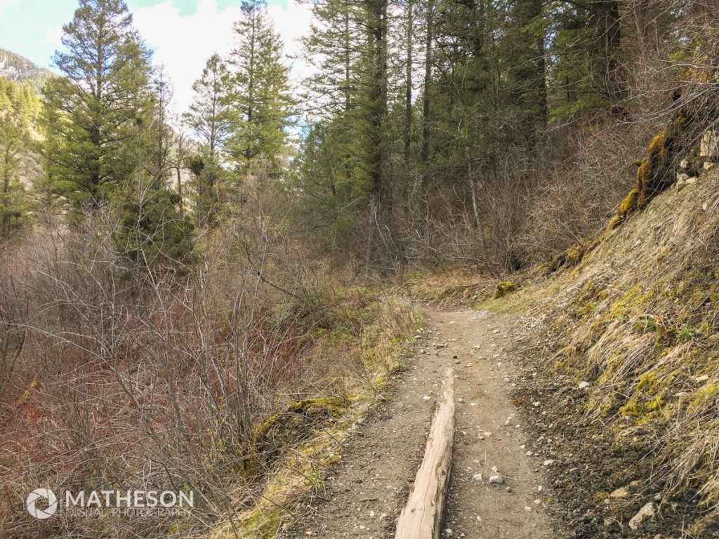 Packsaddle Creek Trail